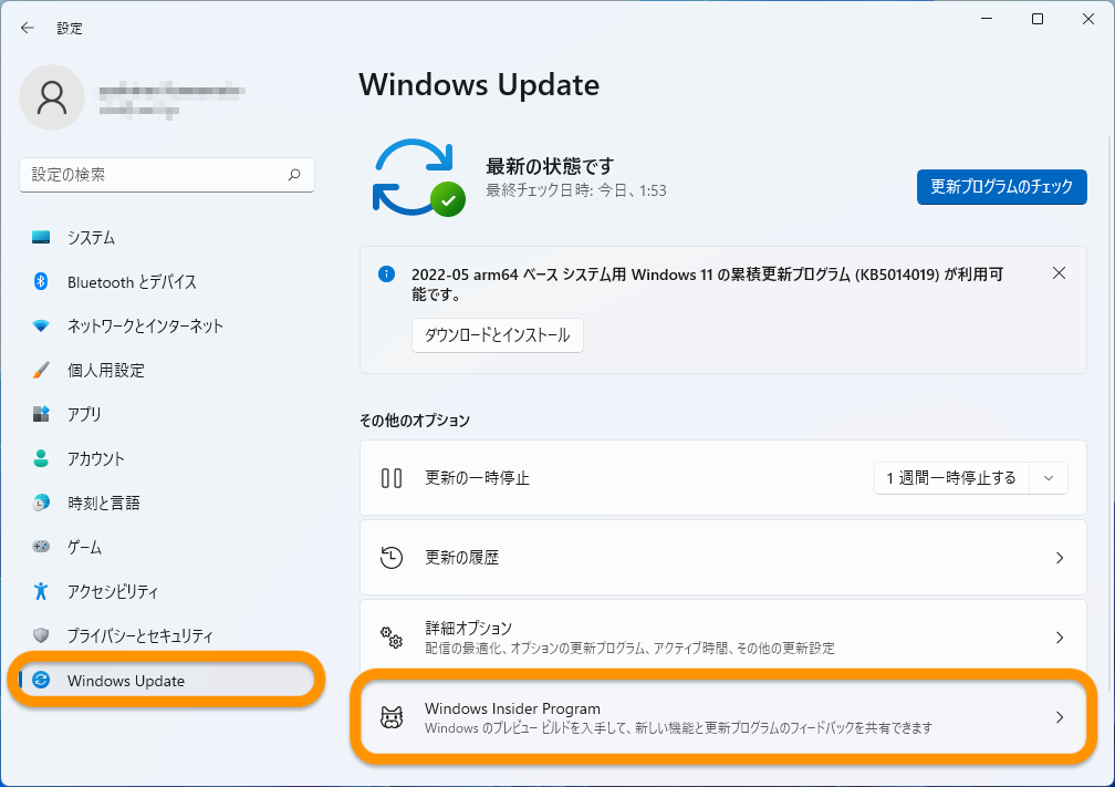 Windows Insider Program 01